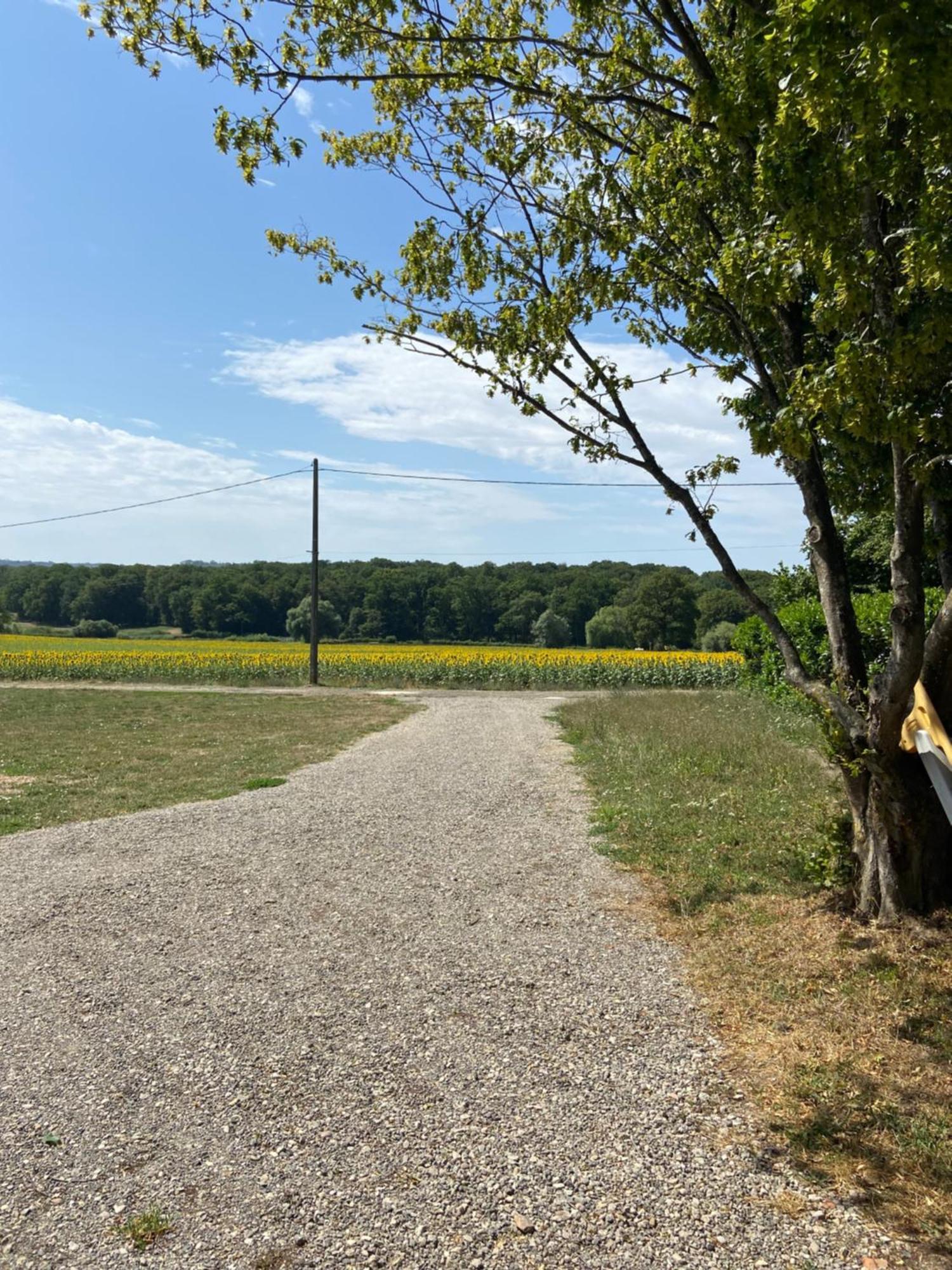L Oree Du Bois Moncheux Exteriör bild